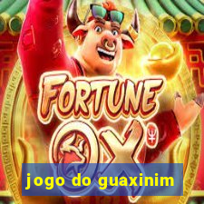 jogo do guaxinim